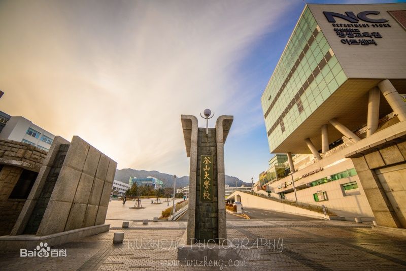 釜山大学